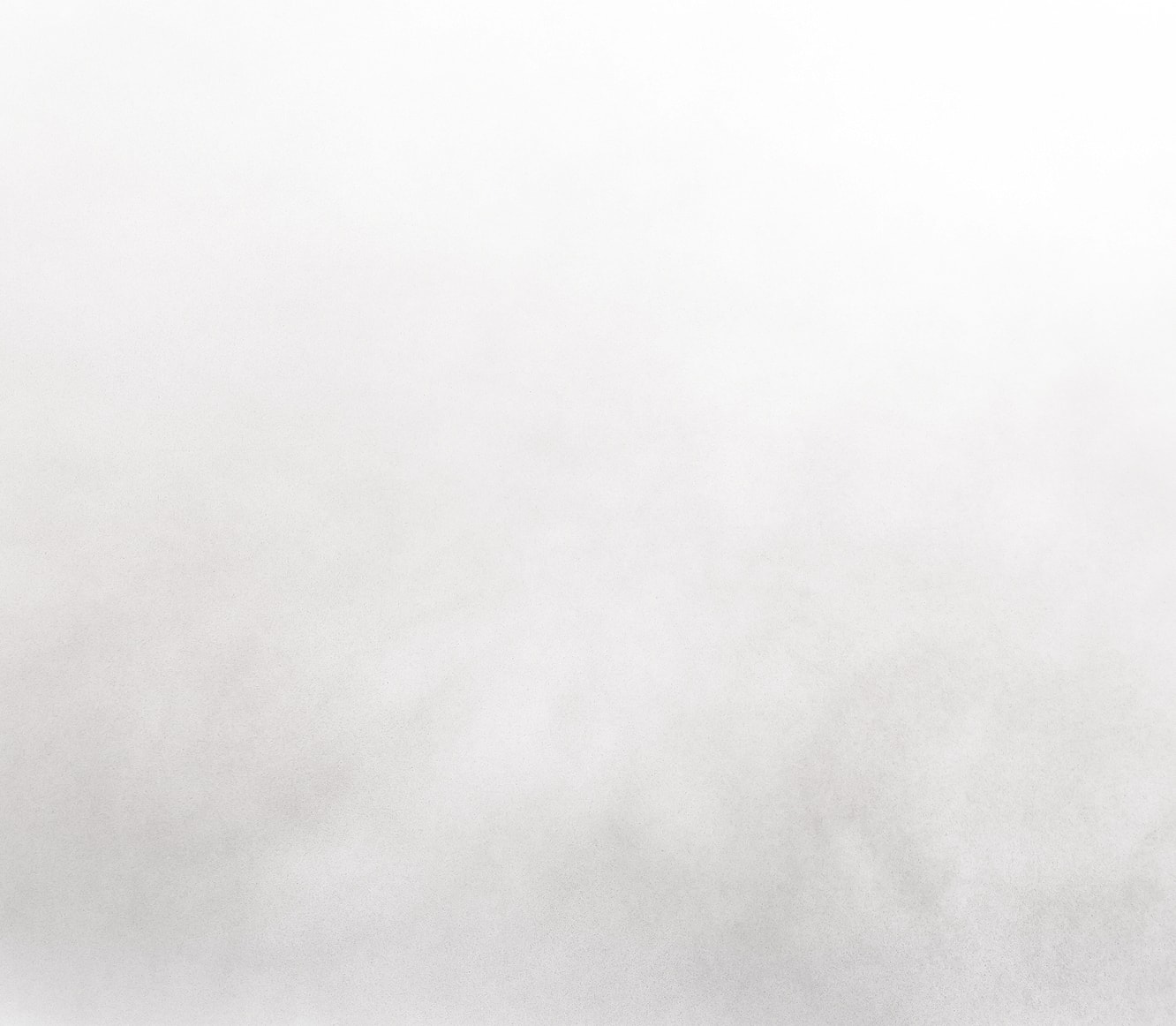 Blank white background with subtle texture.